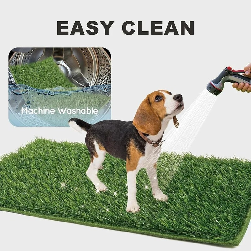Reusable Dog Lawn Training System 4