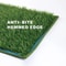 Reusable Dog Lawn Training System 5