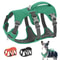 SecureGuard Escape Proof Tactical Dog Harness 1