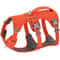 SecureGuard Escape Proof Tactical Dog Harness 7