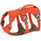 SecureGuard Escape Proof Tactical Dog Harness 7