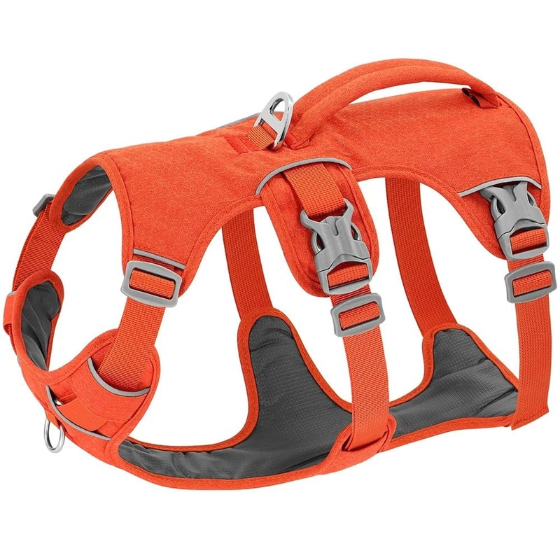SecureGuard Escape Proof Tactical Dog Harness 7