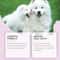VetRecommended Pet Teeth Spray Advanced Tartar Calculus Remover 3