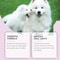 VetRecommended Pet Teeth Spray Advanced Tartar Calculus Remover 3
