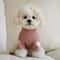 Sweetheart Warm Fleece Pet Base Shirt Cozy Love Bear Puppy Hoodie 10