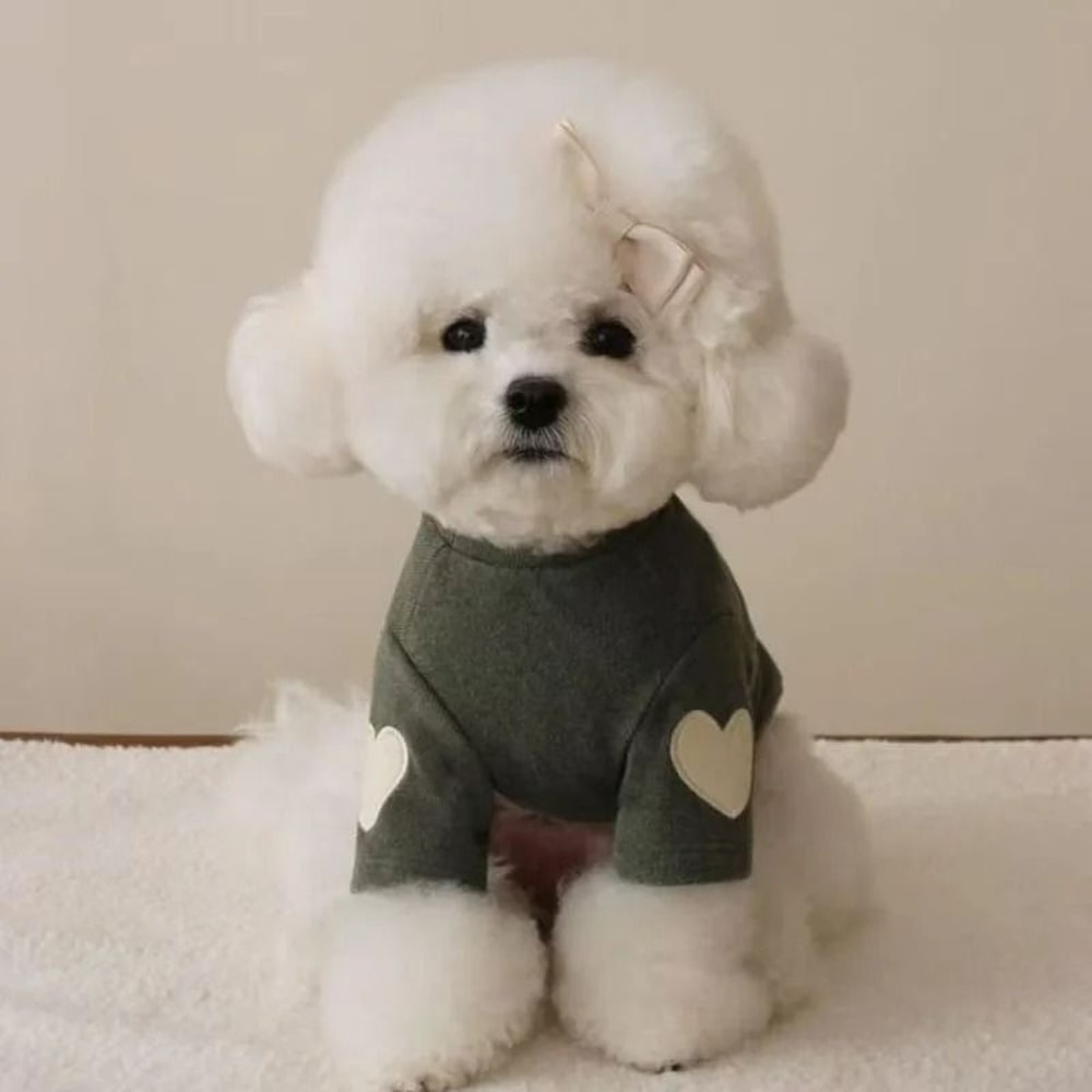 Sweetheart Warm Fleece Pet Base Shirt Cozy Love Bear Puppy Hoodie 7