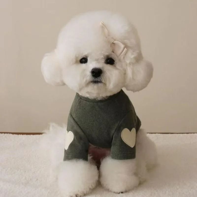 Sweetheart Warm Fleece Pet Base Shirt Cozy Love Bear Puppy Hoodie 7