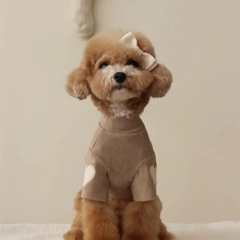 Sweetheart Warm Fleece Pet Base Shirt Cozy Love Bear Puppy Hoodie 12