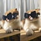 AdventureReady Pet Goggles Waterproof Windproof Protective Eyewear 5