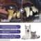 Advanced Pet Dental Care Pen 3ml Tartar Control Fresh Breath Gel 4