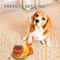 2in1 Interactive Duck Treat Dispenser Automatic Slow Feeder Training Toy 2
