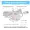 Silent Replacement Water Pump AntiDry Burning Motor For Pet Fountains 2