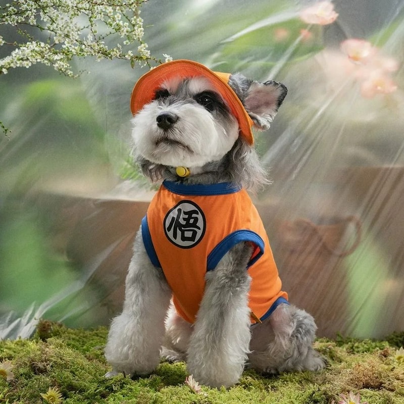 HeroInspired Pet Training Vest Lightweight Summer Breathable Puppy Clothes 1