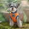 HeroInspired Pet Training Vest Lightweight Summer Breathable Puppy Clothes 3