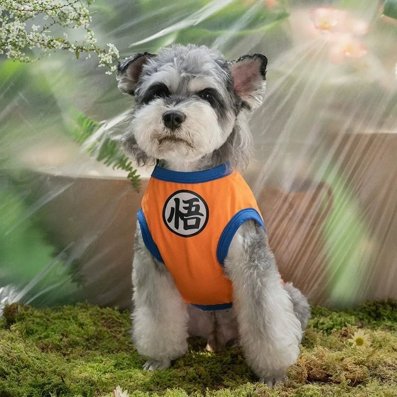 HeroInspired Pet Training Vest Lightweight Summer Breathable Puppy Clothes 3