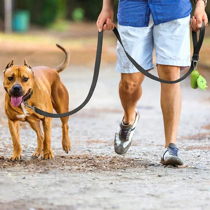 Reflective Safety Dog Leash HeavyDuty Padded Traction Lead For Night Walking 3