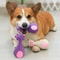 Durable Rubber Squeaky Animal Toy BiteResistant Interactive Elephant Cow 2