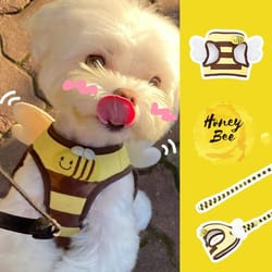 sweet bee breathable harness & leash set – soft mesh summer puppy vest