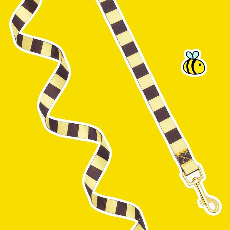 Sweet Bee Breathable Harness Leash Set Soft Mesh Summer Puppy Vest 2