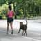 MultiFunctional HandsFree PShape Leash Adjustable DualHandle Training Running Lead 6