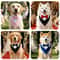 Formal Bow Tie Dog Tuxedo Bandana Adjustable Wedding Party Triangle Scarf 3