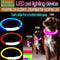HighVisibility Luminous LED Dog Collar UltraBright Night Safety Light 2