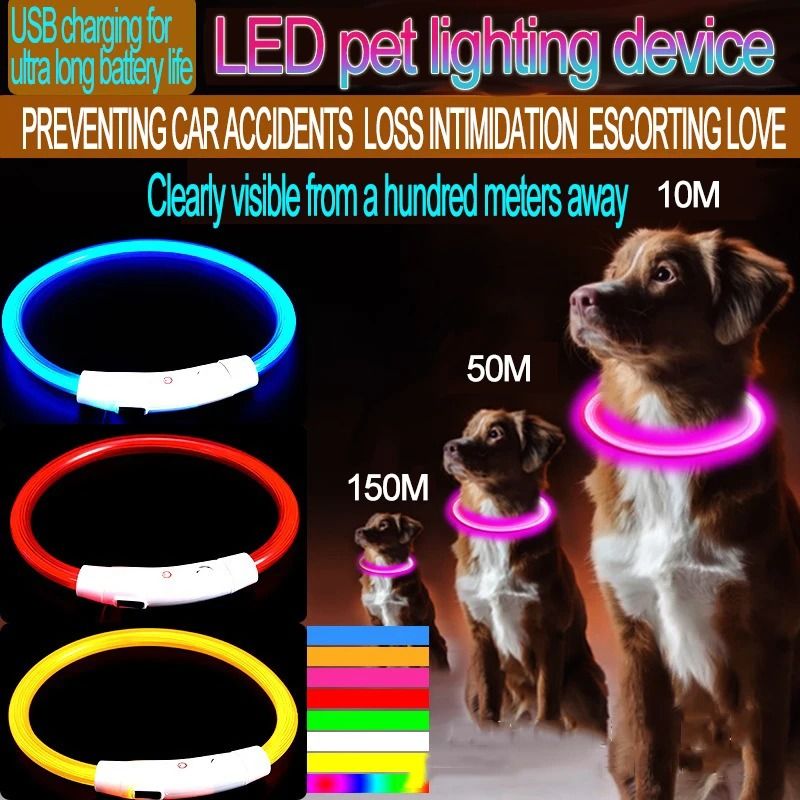 HighVisibility Luminous LED Dog Collar UltraBright Night Safety Light 2