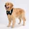 Premium Dog Tuxedo Bandana Formal Wedding Party Bow Tie Collar 5