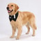 Premium Dog Tuxedo Bandana Formal Wedding Party Bow Tie Collar 5