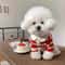 Fashion Striped Collared Dog Shirt Breathable Soft Cotton Summer Tee 2