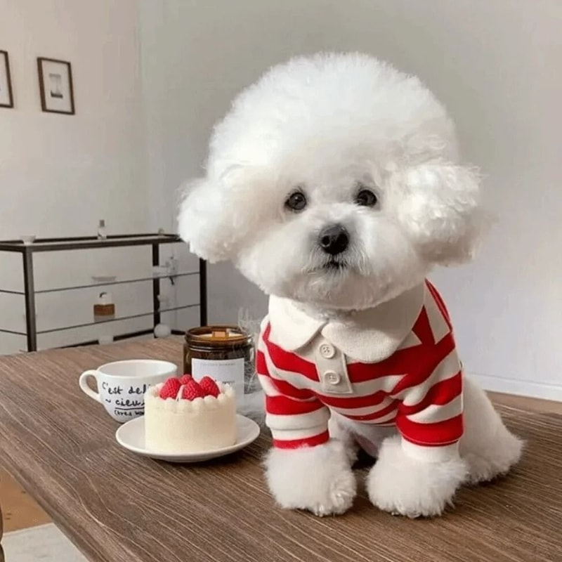 Fashion Striped Collared Dog Shirt Breathable Soft Cotton Summer Tee 2