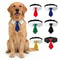 Formal Pet Necktie Collar Elegant Wedding Business Suit Accessory 0