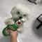Plush Happy Hour Beer Bottle Dog Toy BiteResistant Squeaky Interactive Chewer 0