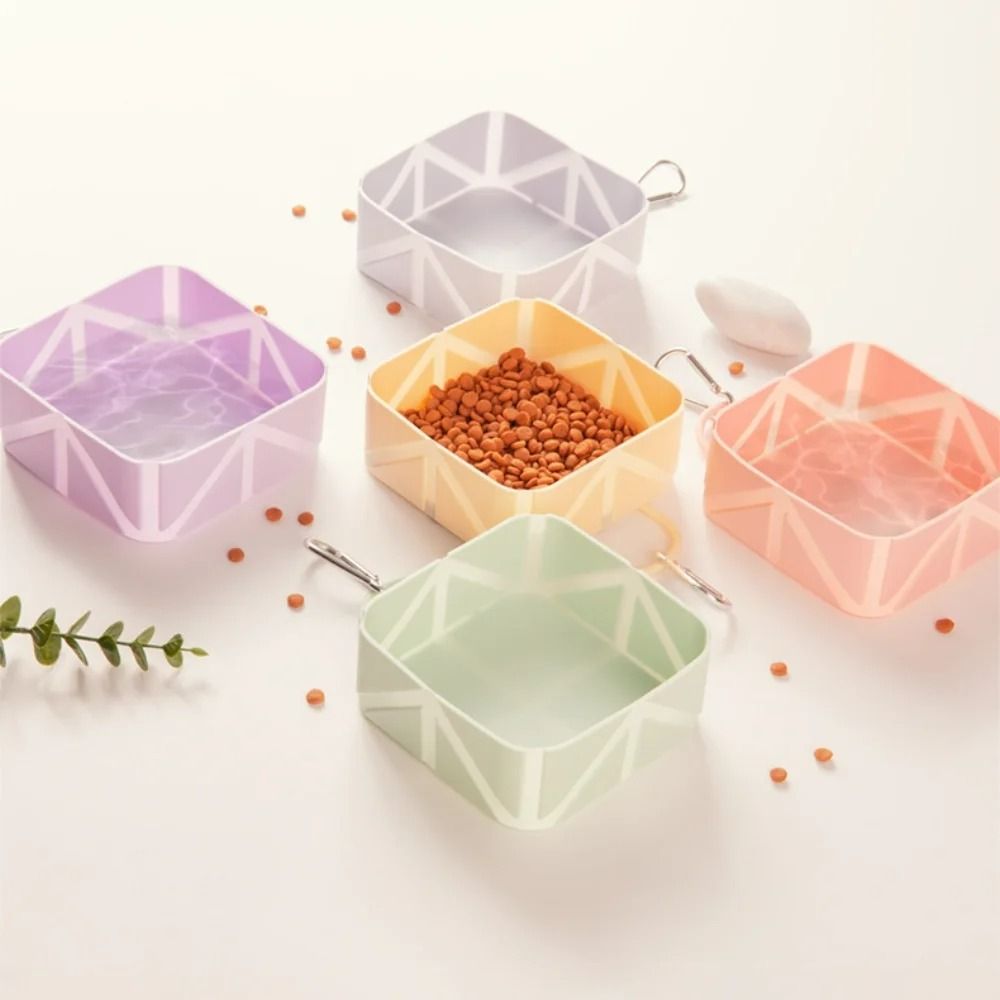Silicone Collapsible Pet Travel Bowl Portable Food Water Solution For Hiking Camping 2