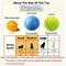 Smart Interactive Dog Toy Ball Automatic Electronic Rolling Bouncing USB Rechargeable Ball 4