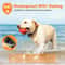 3300ft Professional Remote Dog Training Collar Waterproof Behavior Correction System 5