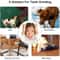 Interactive Dental Treat Ball NonToxic BiteResistant Enrichment Toy 5