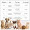 UltraSoft Flannel Pet Blanket Cozy PawPrint Fleece Mat For Dogs Cats 5