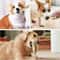 Natural Coffee Wood Dog Chew Stick Sustainable LongLasting Dental Molar Toy 2