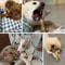 Natural Coffee Wood Dog Chew Stick Sustainable LongLasting Dental Molar Toy 3