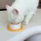 Slow Licking Puzzle Bowl Interactive AntiGulping Feeder For Dogs Cats 4