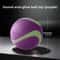 HighVisibility Glow Dog Toy Ball Durable Rubber Fetch Ball For HighEnergy Breeds 10