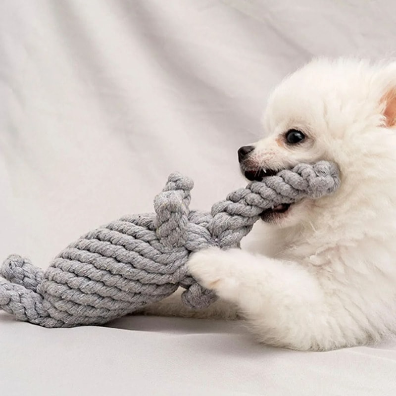 HandWoven Cotton Rope Toy Durable Dental Health Chew For Small Medium Dogs 1