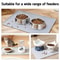 Silicone Pet Feeding Mat Waterproof NonSlip Placemat With Raised Splash Guard 2