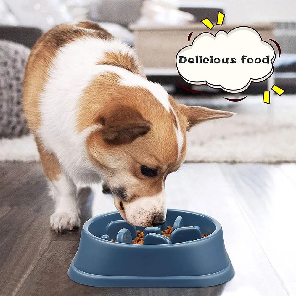 AntiGulping Slow Feeder Interactive Puzzle Bowl For Healthy Digestion 4
