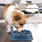 AntiGulping Slow Feeder Interactive Puzzle Bowl For Healthy Digestion 4