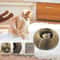 Magic Organ Cat Scratcher Foldable 2in1 Interactive Toy Lounge Bed 4