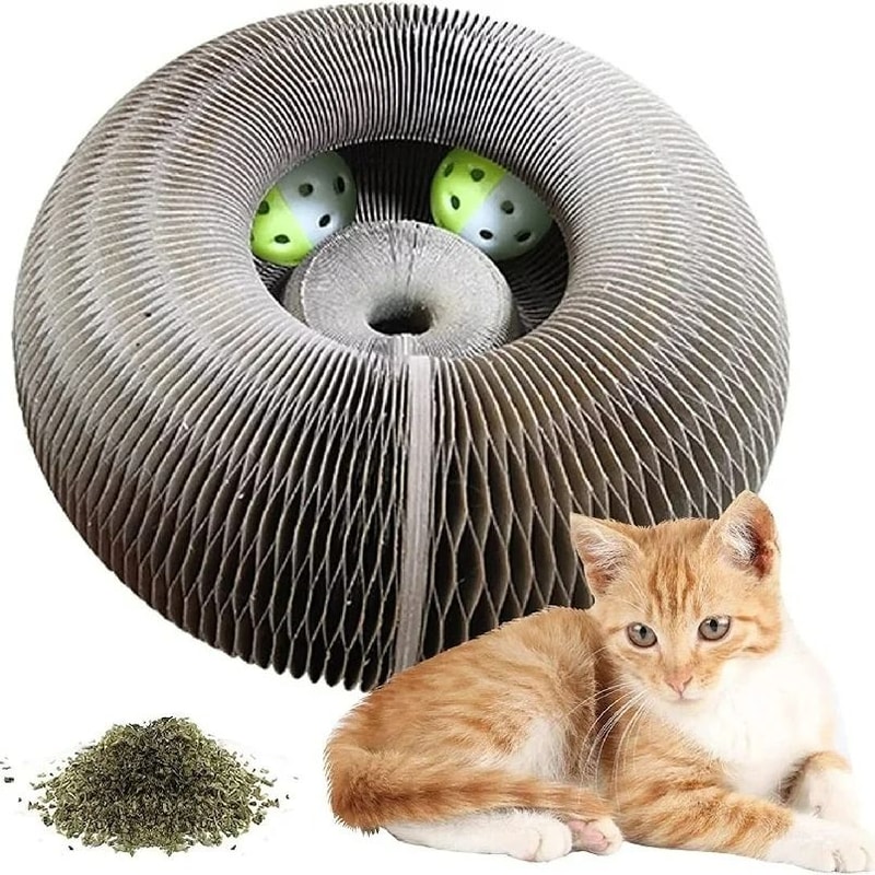 Magic Organ Cat Scratcher Foldable 2in1 Interactive Toy Lounge Bed 5