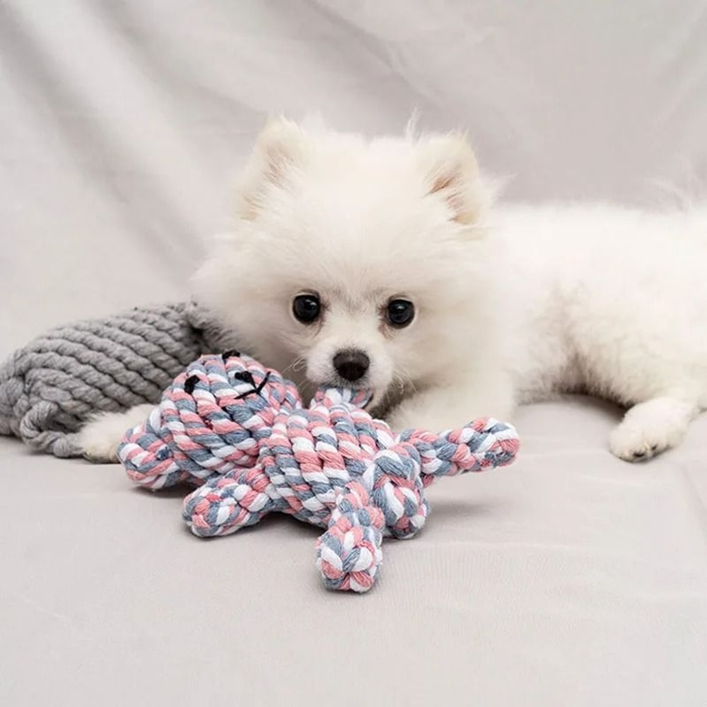 HandWoven Rope Knot Ball HeavyDuty BiteResistant Dental Chew For Small Dogs 3
