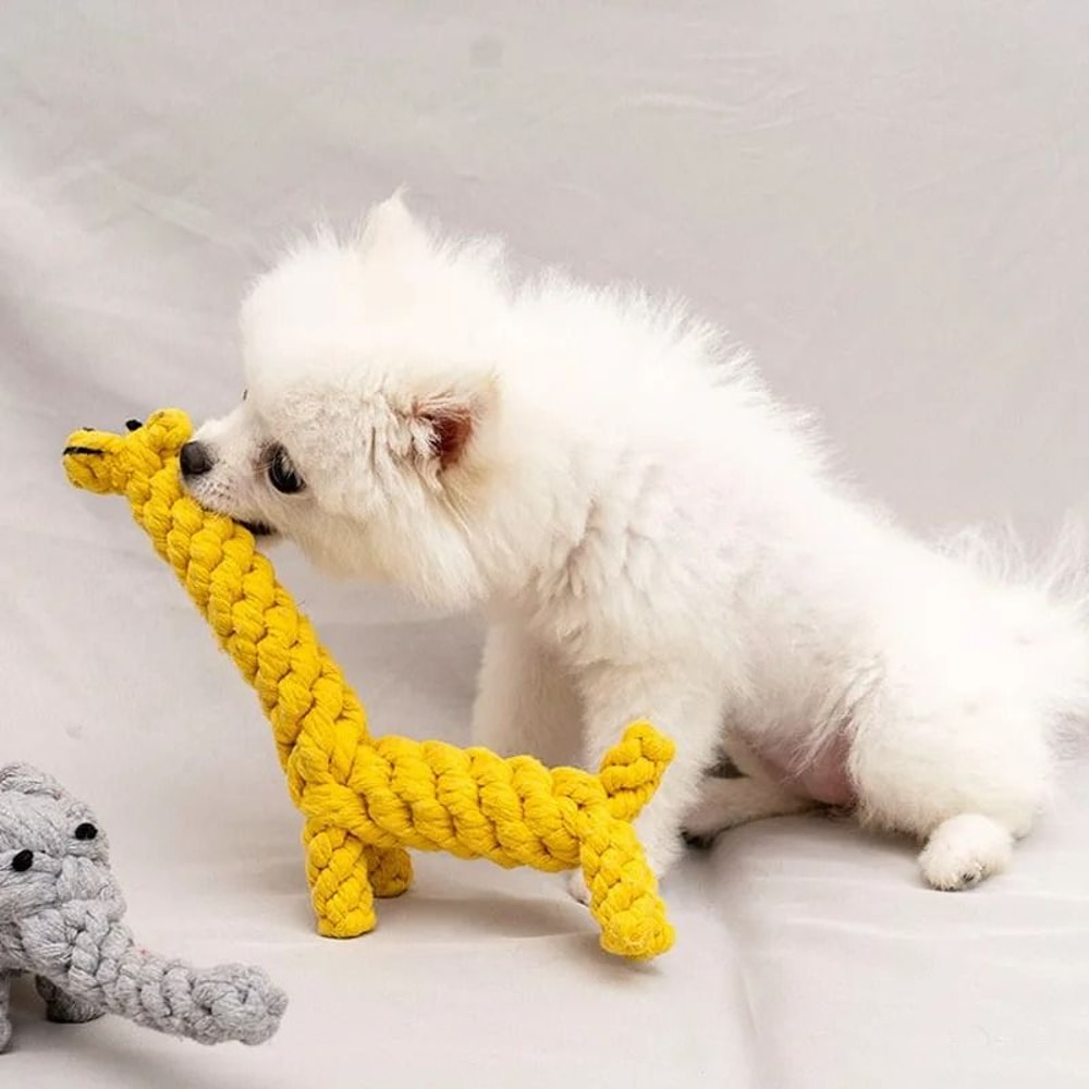HandWoven Rope Knot Ball HeavyDuty BiteResistant Dental Chew For Small Dogs 4